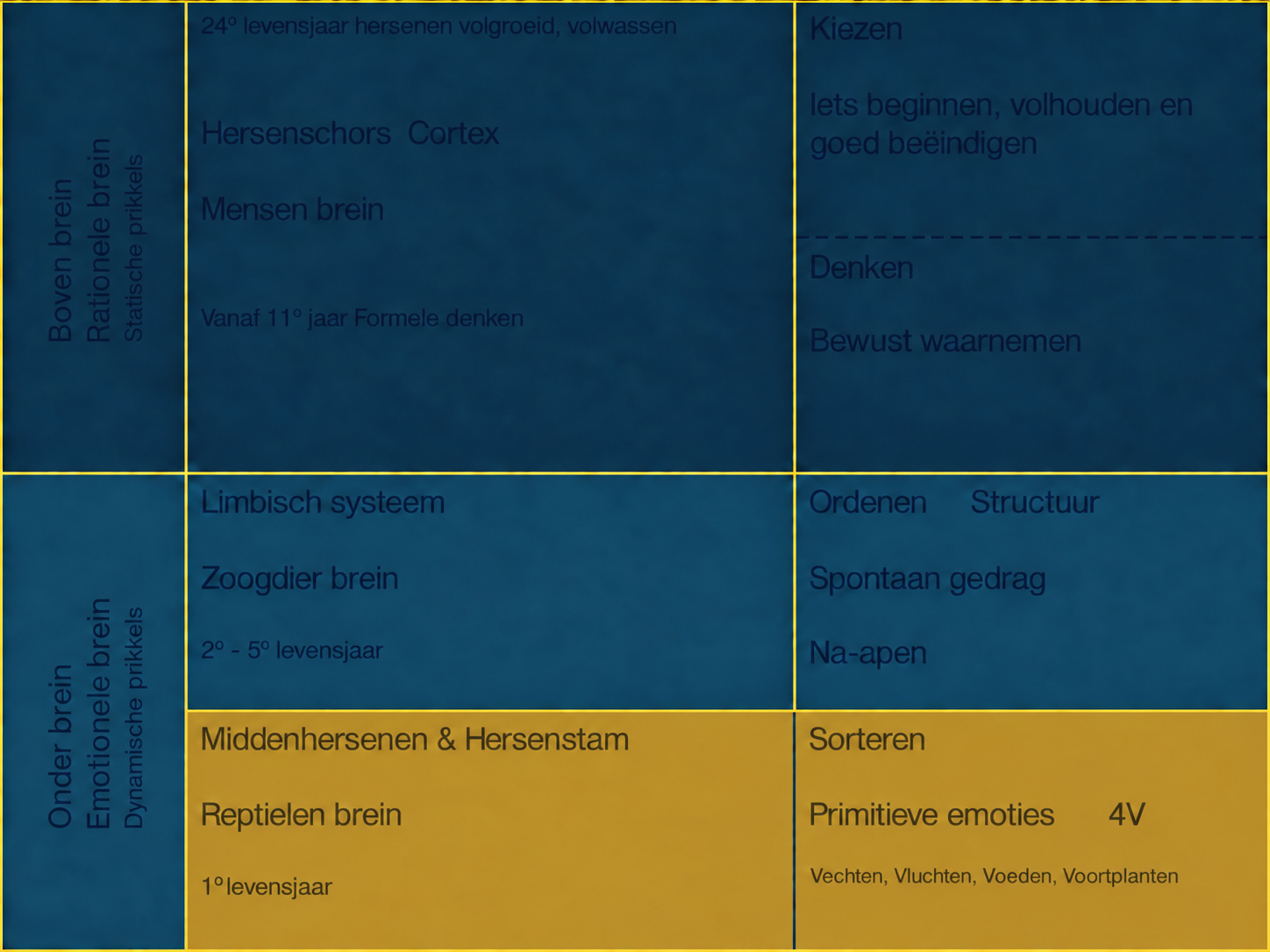 Hersenenschema met verduisterde tekst in zowel het bovenbrein als het onderbrein en een donkerder okergeel vlak onderaan.